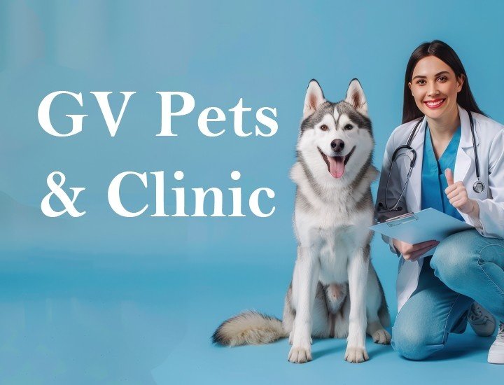 GV Pets &amp; Clinic