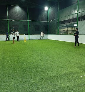 Turf on Roof